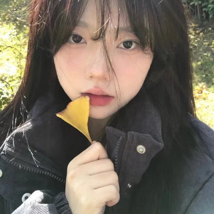 帕德西