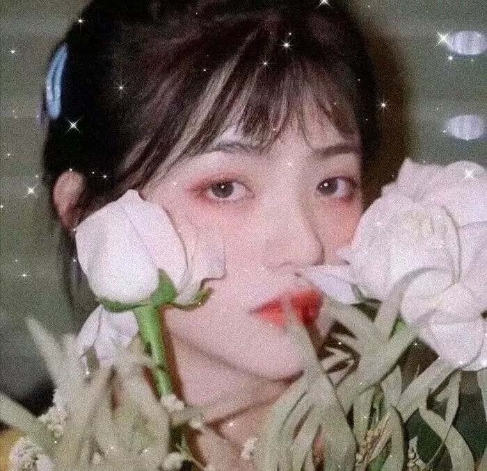 五月槐花香